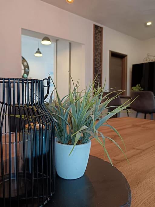 Holiday&Suite Klanac Vir Bagian luar foto